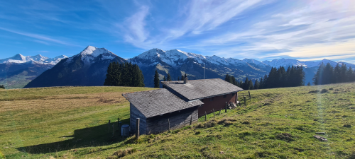 Umgebung