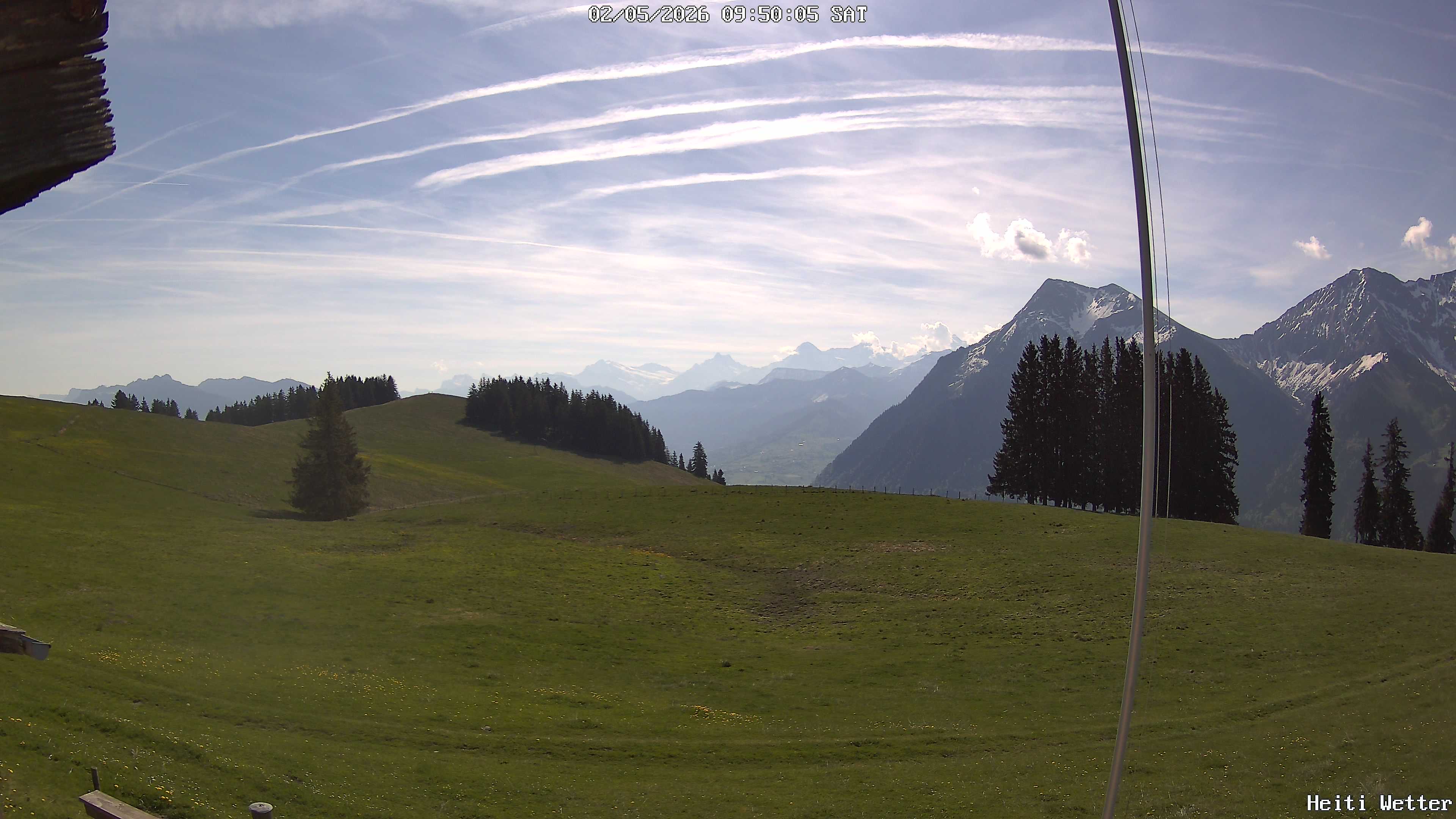 Live-Bild