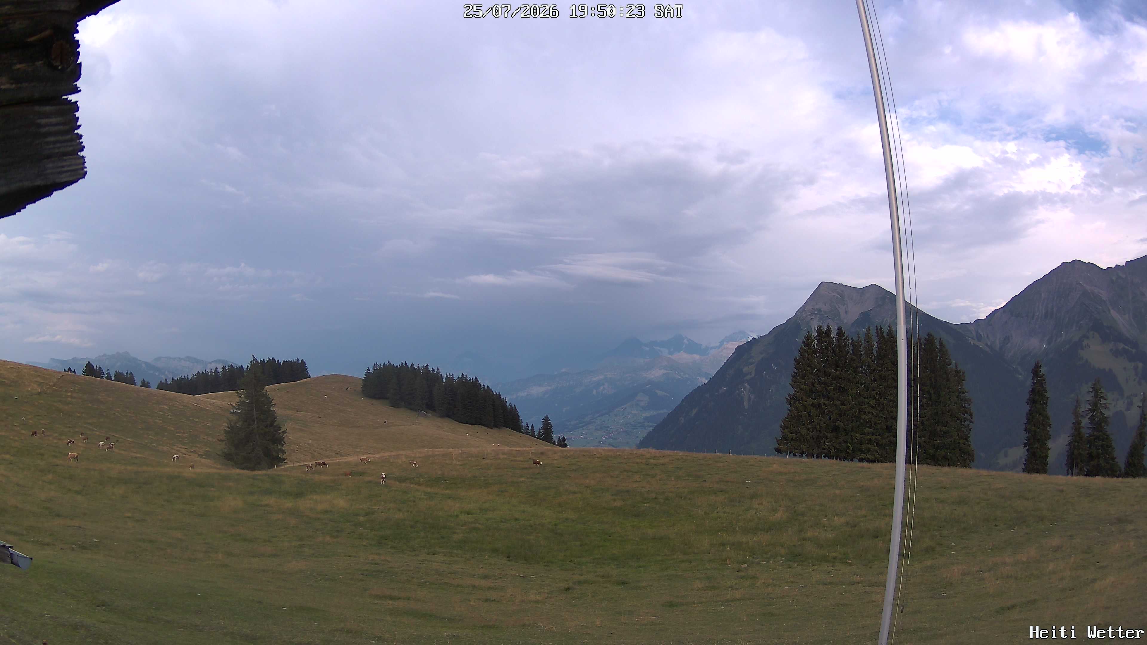 Live-Bild