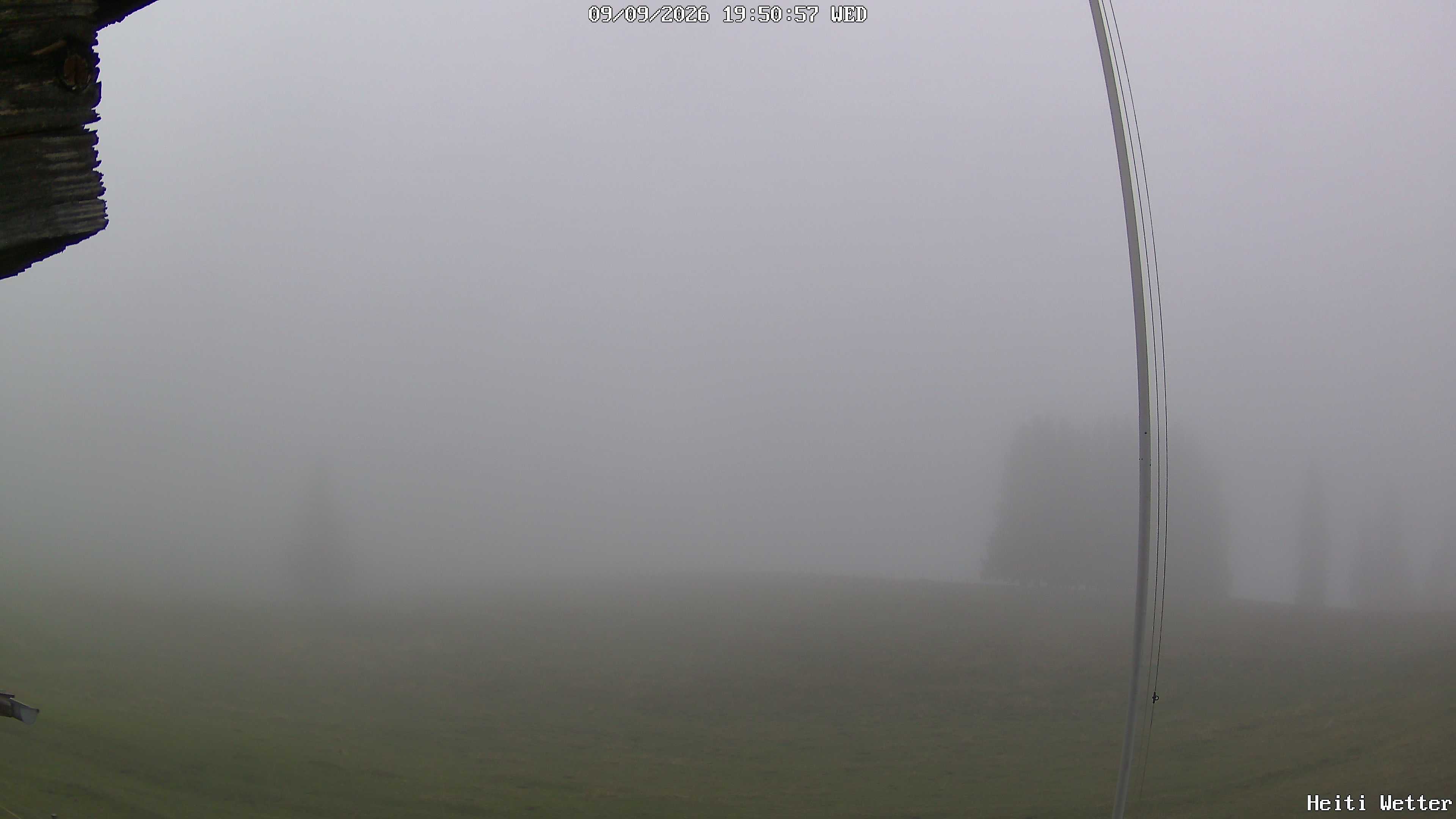 Live-Bild