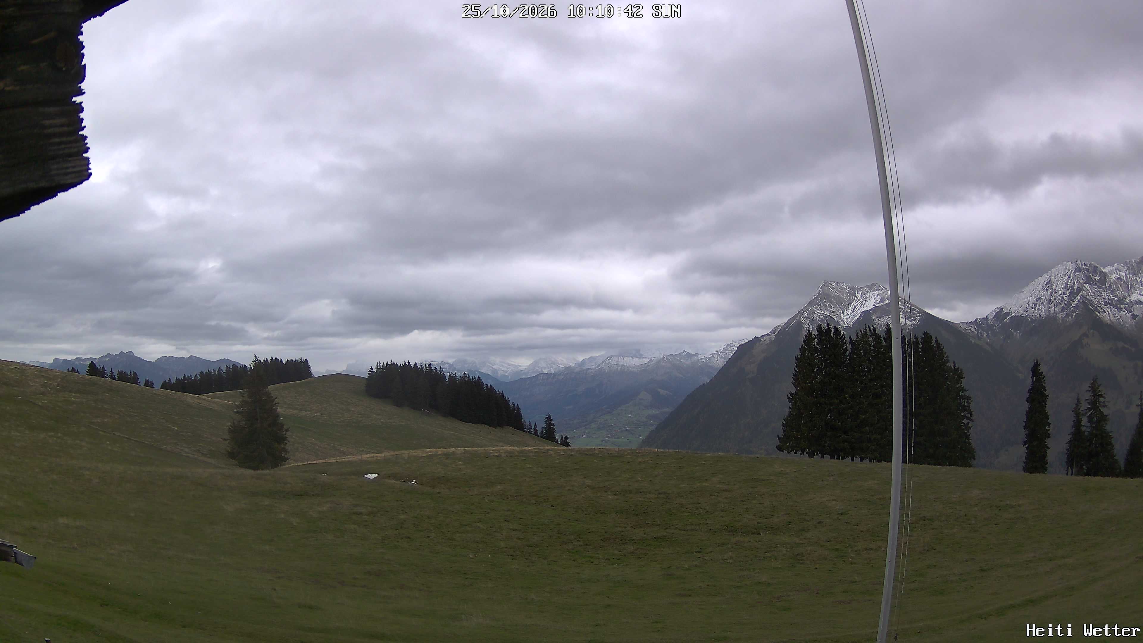 Live-Bild